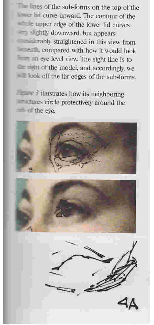 fig3b.jpg