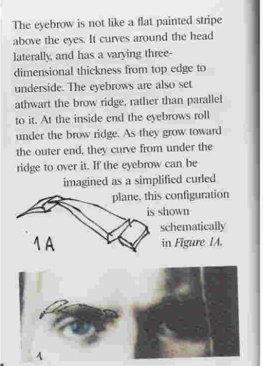 fig1A.jpg